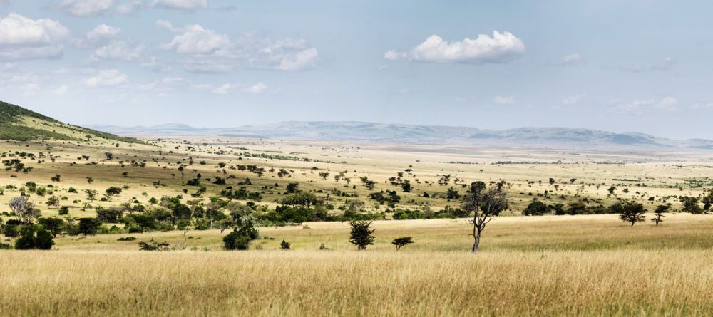 Central Serengeti View - Image 7