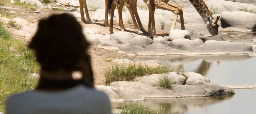 Rekero Camp, Masai Mara National Reserve, Kenya - Image 12