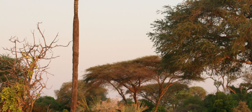 Relaxing in the bush in style at Katuma Bush Camp, Katavi National Park, Tanzania - Image 13
