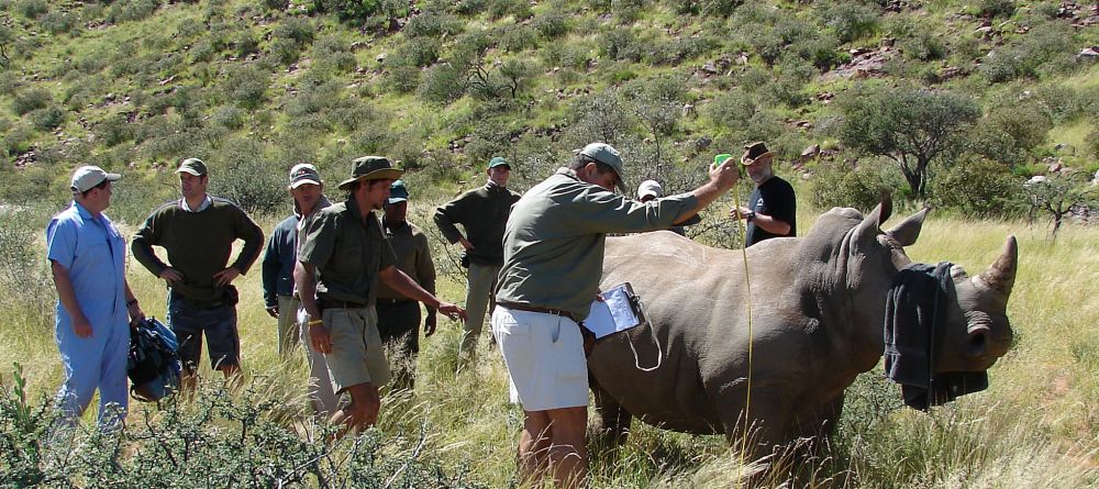 Rhino Research- Tswalu Kalahari, Twsalu Kalahari, South Africa - Image 4