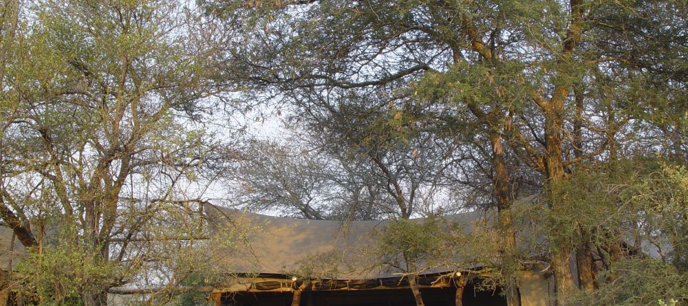 Rhino Walking Safaris - Plains Camp Dining - Image 2