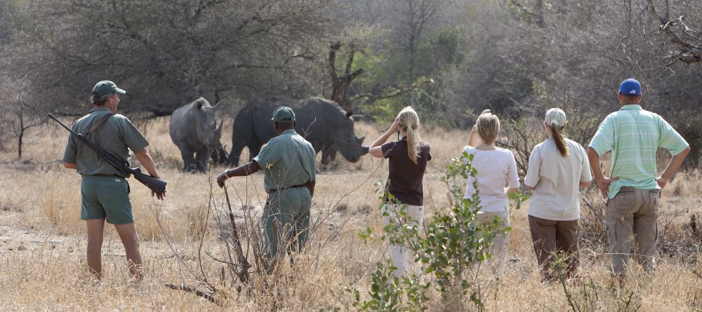 Rhino Walking Safaris - Walking with Rhino - Image 13