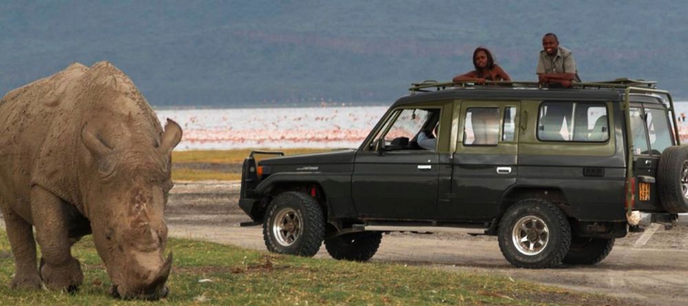 Sarova Lion Hill Game Lodge - Rhino seen near Lake Nakuru - Image 3
