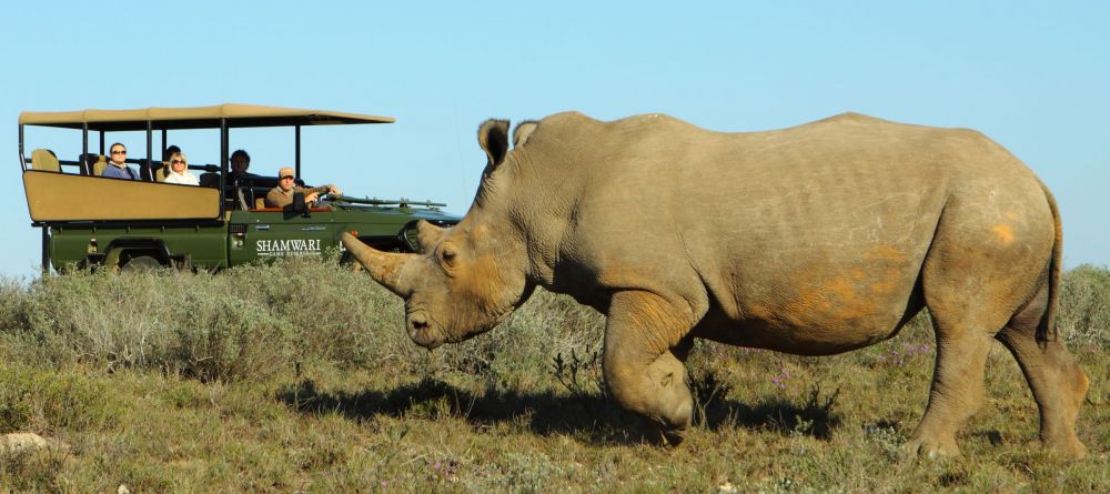 Shamwari Riverdene Lodge - rhino on safari - Image 3