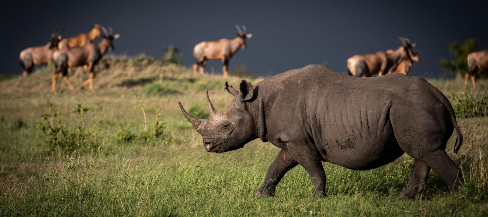Lamai Serengeti, Serengeti National Park, Tanzania - Image 11