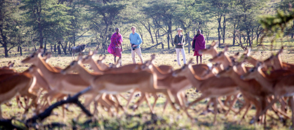 Richards Forest Camp - Image 5