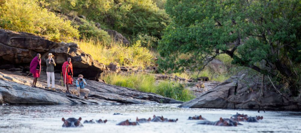 Richards Forest Camp - Image 6