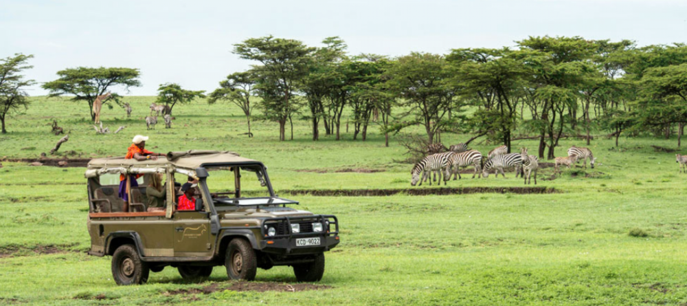 Richards Forest Camp - Image 1