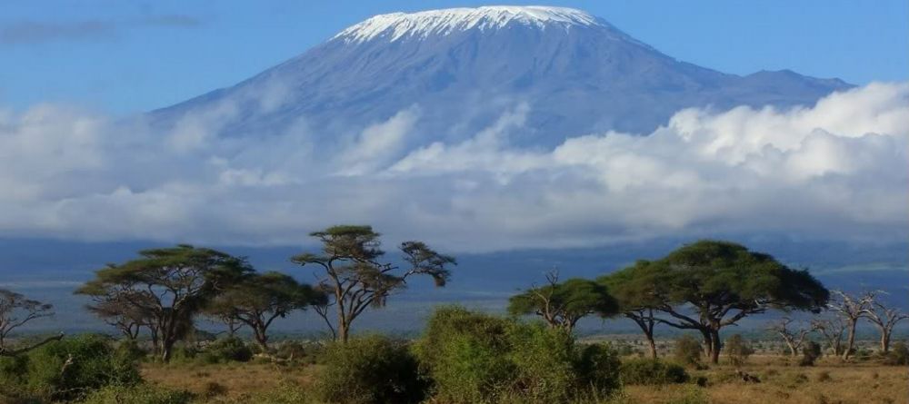 Rivertrees Country Inn, Arusha, Tanzania - Image 3