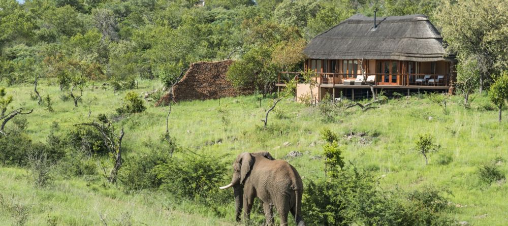 Royal Madikwe, Madikwe Game Reserve, South Africa - Image 10