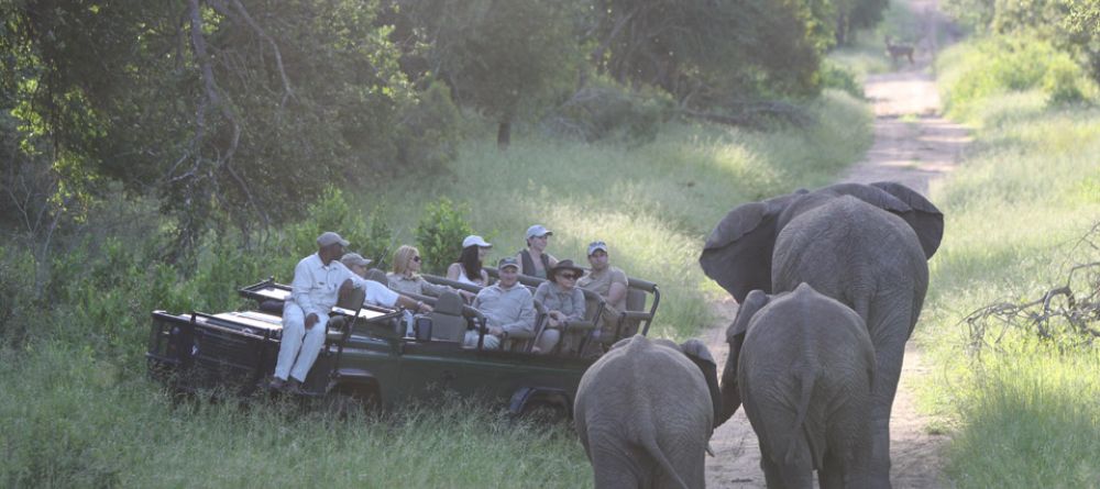 A trio of elephants pass by the game drive vehicle at Royal Malewane, Kruger National Park, South Africa - Image 5