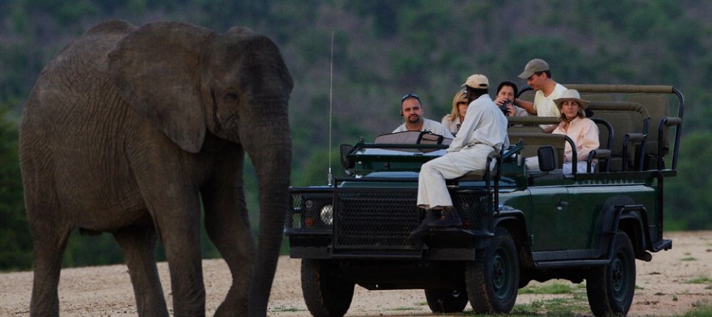 Meeting an elephant during a game drive at Royal Malewane, Kruger National Park, South Africa - Image 3