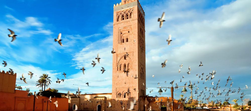 Riad Nashira - Image 1