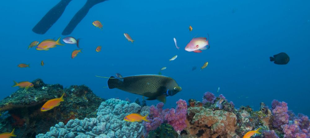 Rocktail Beach Camp, KwaZulu-Natal, South Africa Â© Anthony Grote - Image 16