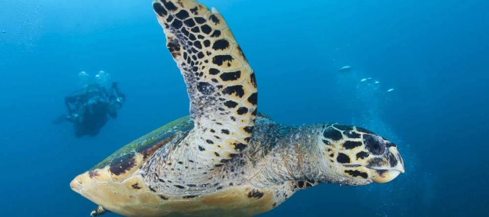 Rocktail Beach Camp, KwaZulu-Natal, South Africa Â© Anthony Grote - Image 8