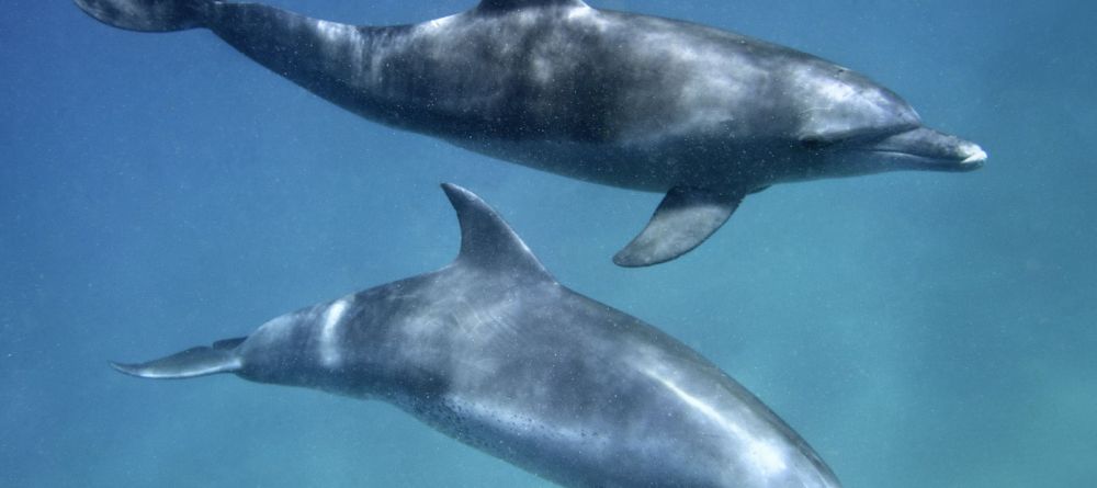 Rocktail Beach Camp, KwaZulu-Natal, South Africa Â© Dana Allen - Image 18