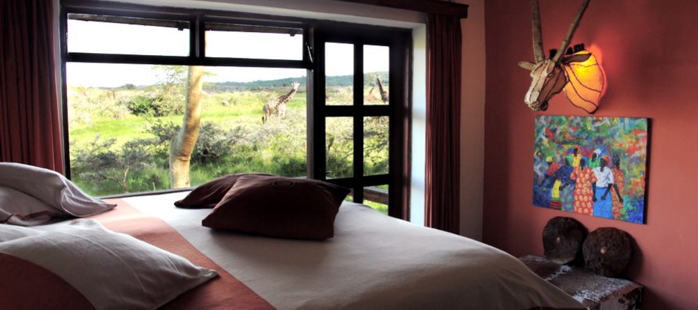 Room with a view! Hatari Lodge, Arusha National Park, Tanzania - Image 2