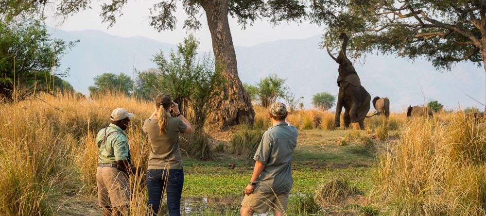 Ruckomechi Camp, Mana Pools National Park, Zimbabwe - Image 8