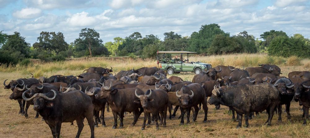 Ruckomechi Camp, Mana Pools National Park, Zimbabwe - Image 14
