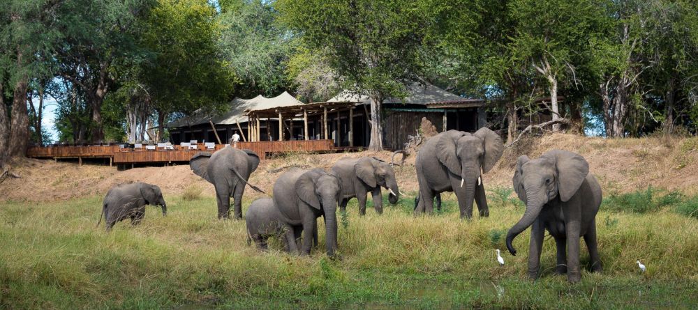 Ruckomechi Camp, Mana Pools National Park, Zimbabwe - Image 9