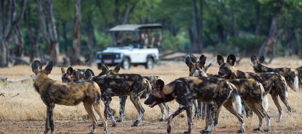 Ruckomechi Camp, Mana Pools National Park, Zimbabwe - Image 16