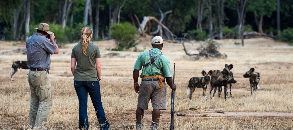 Ruckomechi Camp, Mana Pools National Park, Zimbabwe - Image 23
