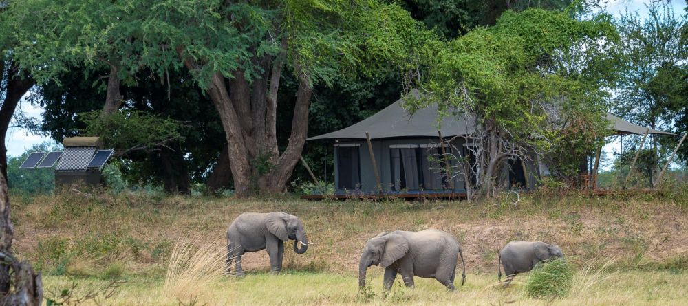 Ruckomechi Camp, Mana Pools National Park, Zimbabwe - Image 32