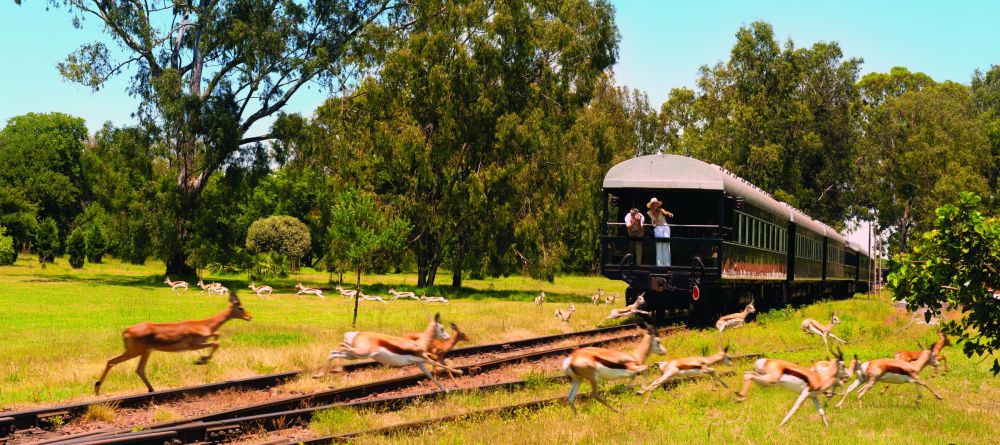 Rovos Rail Pretoria - Swakopmund BalconyGame - Image 4
