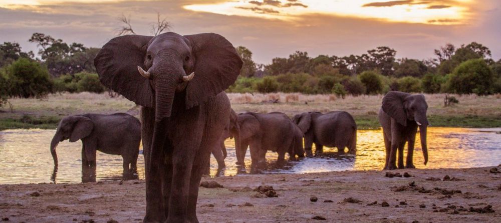 Sable Alley - Image 8