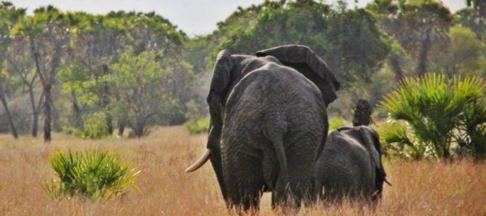 Saandani Safari Lodge, Saandani National Park, Tanzania - Image 7