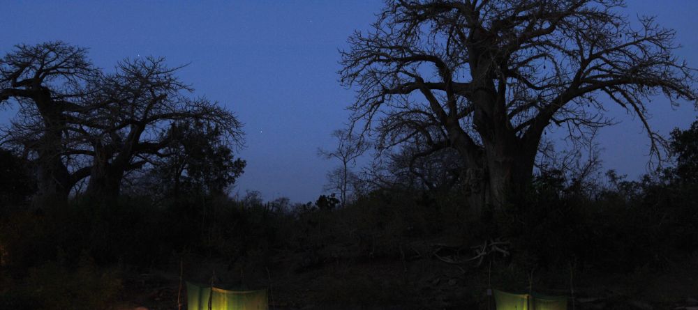 Sand Rivers Selous, Selous National Park, Tanzania Â© Nomad Tanzania - Image 14