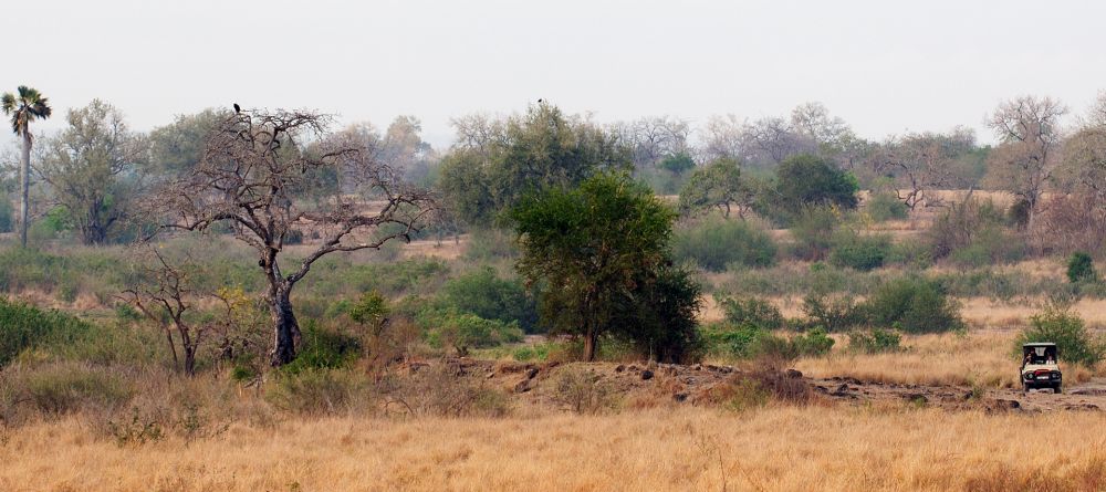 Sand Rivers Selous, Selous National Park, Tanzania Â© Nomad Tanzania - Image 15