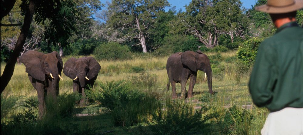 Sand Rivers Selous, Selous National Park, Tanzania Â© Nomad Tanzania - Image 2