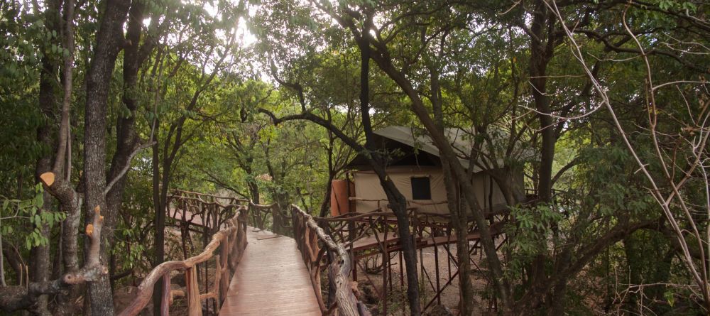Sarara the Treehouses - Tent in the forest - Image 12