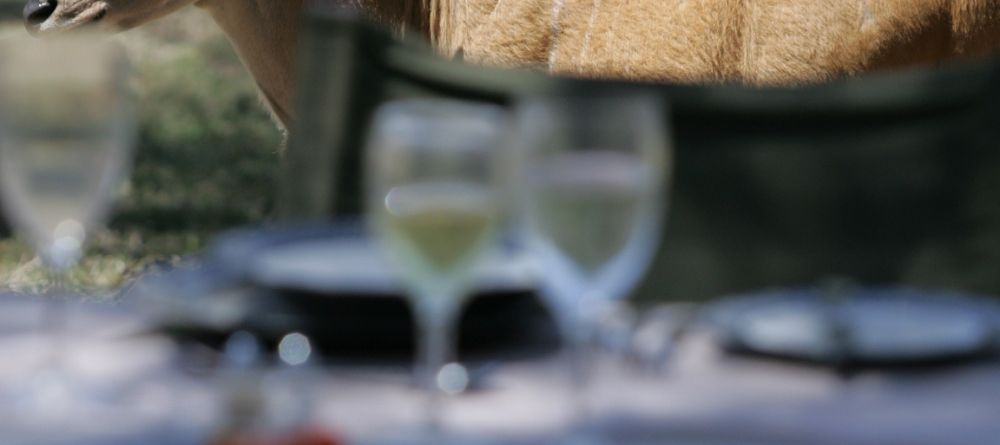 Saruni Mara, Masai Mara National Reserve, Kenya - Image 5