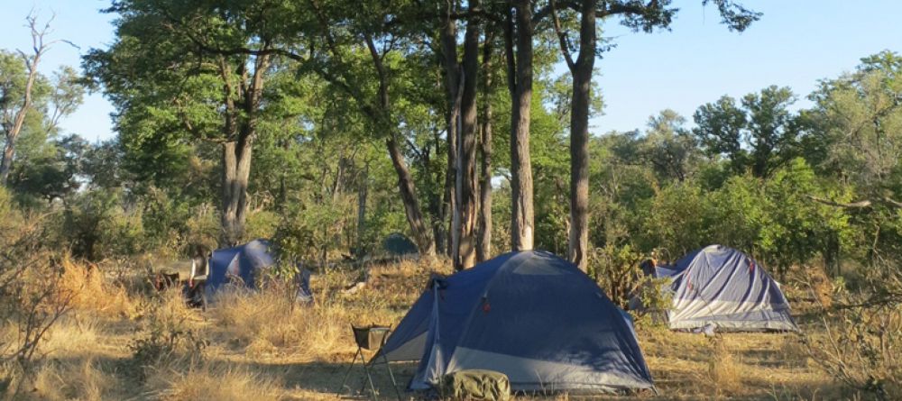 Selinda Adventure Trail - Image 10