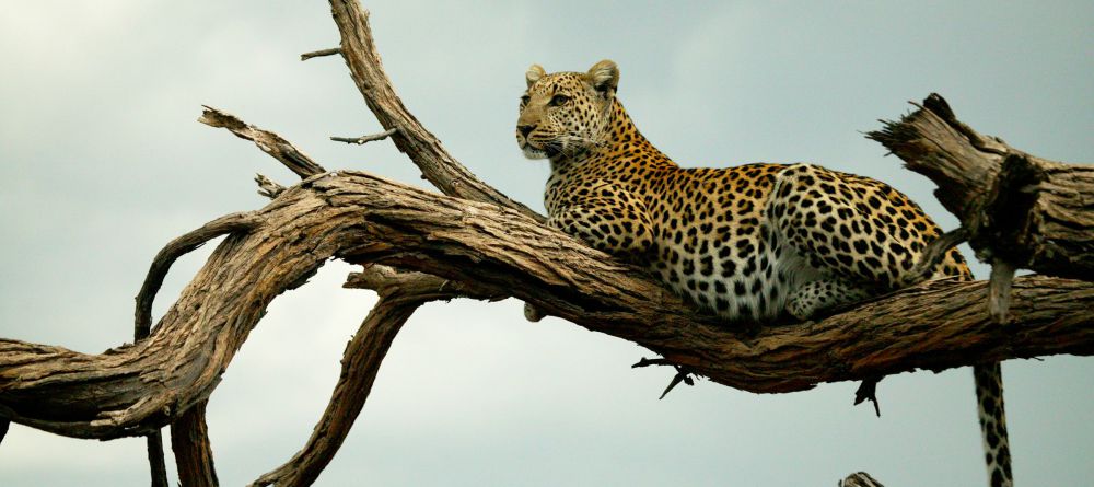 Selinda Adventure Trail - Image 11