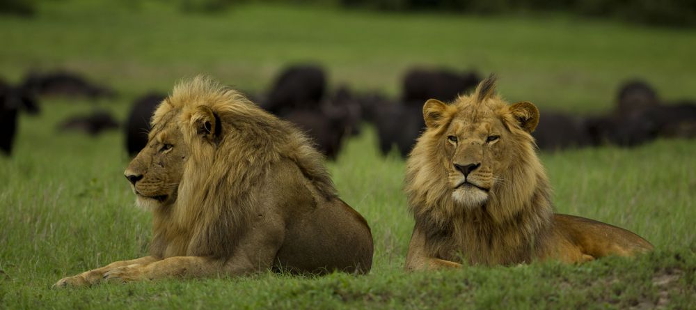 Selinda Adventure Trail - Image 12