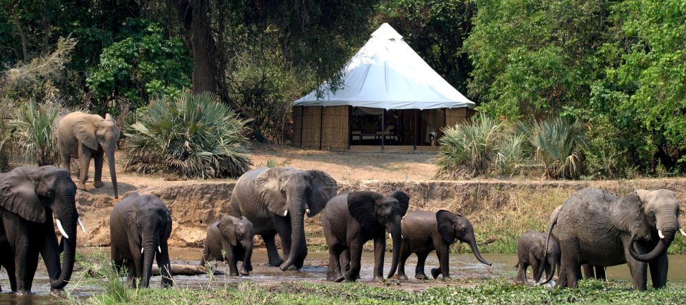 Sausage Tree Camp, Lower Zambezi National Park, Zambia - Image 1