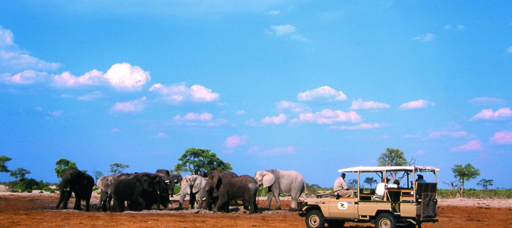 Savute Elephant Camp, Chobe National Park, Botswana - Image 3