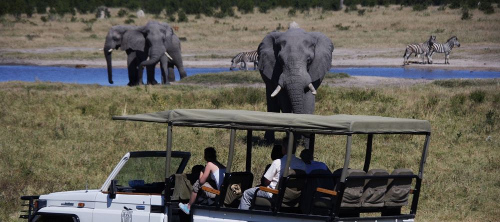 Savute Safari Lodge - Safari drive - Image 4