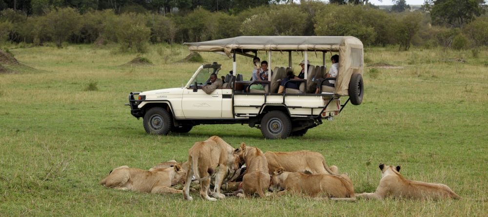 A game drive watches as lions feedr at Serengeti Bushtops Camp, Serengeti National Park, Tanzania - Image 3
