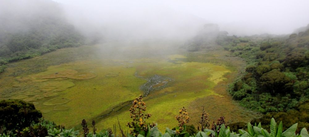 Scenery at Mount Gahinga Lodge, Mgahinga National Park, Uganda - Image 6