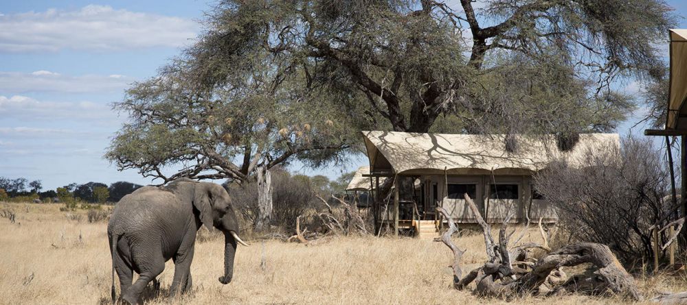 Somalisa Expeditions Camp - Image 5