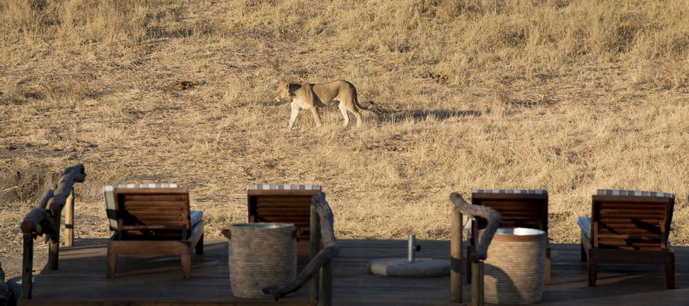 Somalisa Expeditions Camp - Image 7