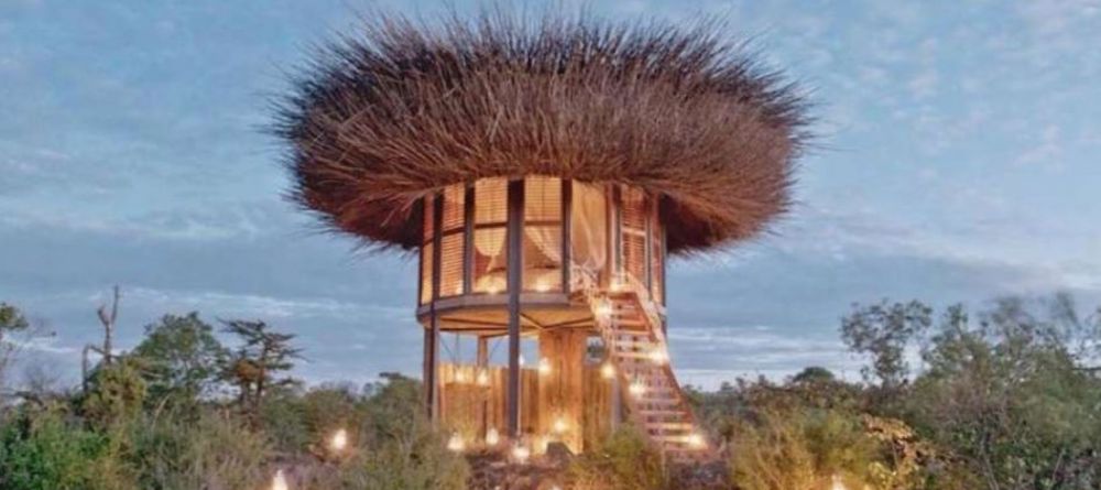 Segera Retreat Birds Nest Hide Out - Image 2