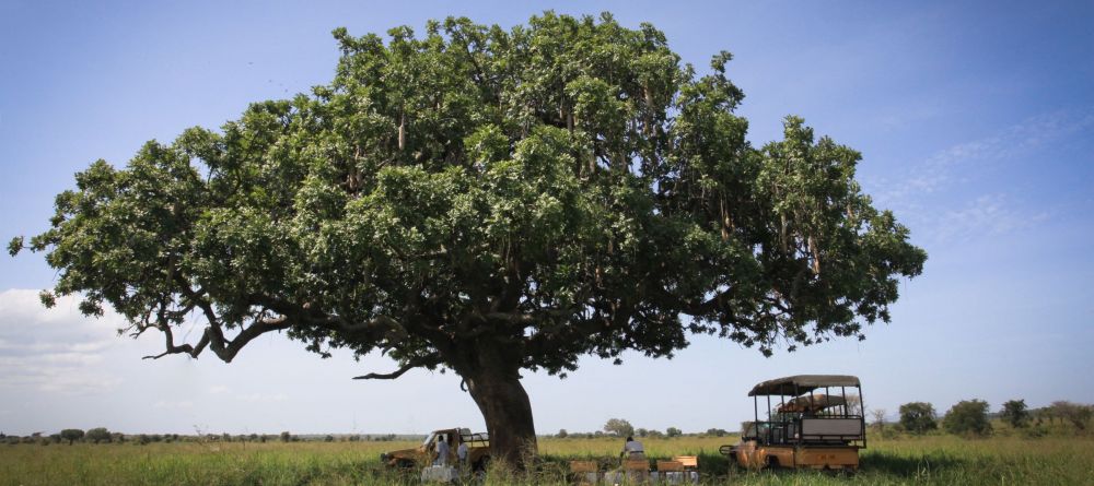 Semliki Safari Lodge  - Image 11