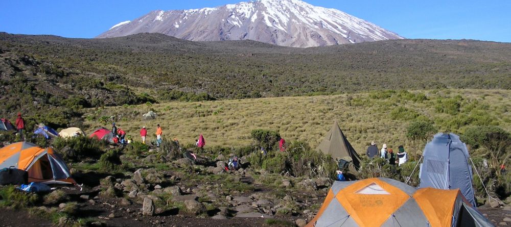 Lemosho Route, Kilimanjaro, Tanzania - Image 9