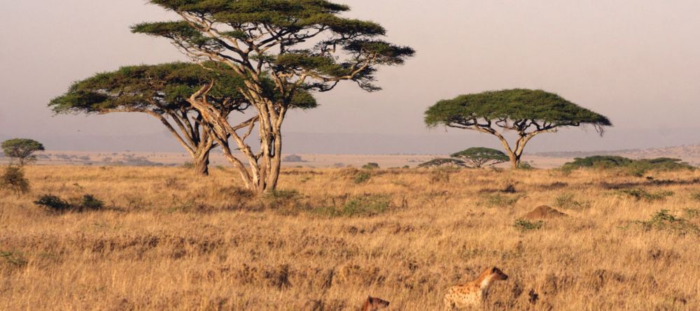 Mobile Camping - Serengeti - landscape - Image 5