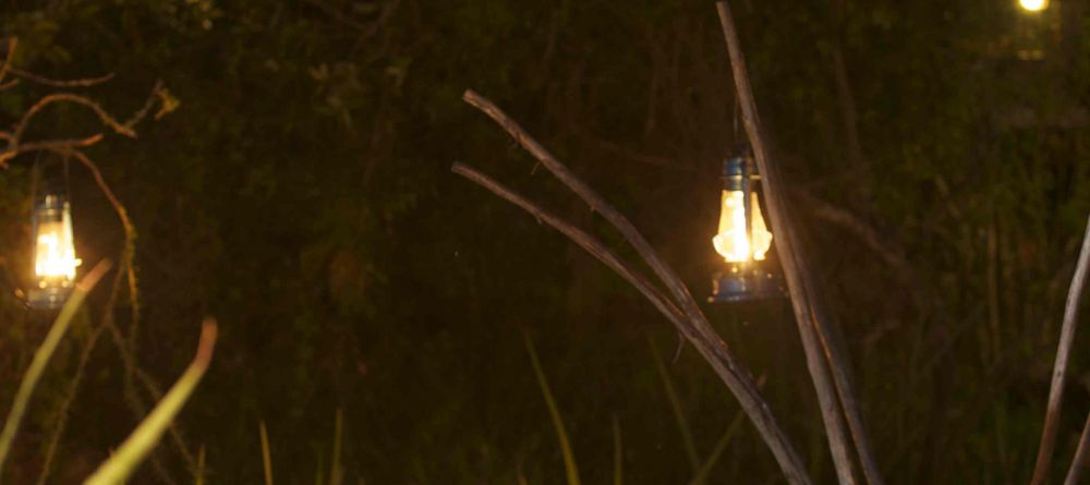 Serengeti Migration Camp, Serengeti National Park, Tanzania - Image 3
